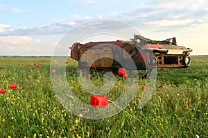Rusty old cars in a field with poppy