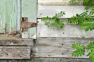 Rusty Old Door Hinge Close Up