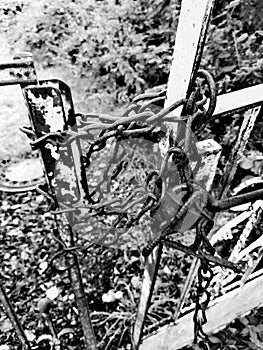 Rusty old gate