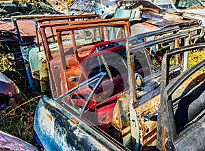 Rusty, old, junked car doors in the woods