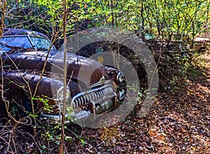 Rusty, old, junked car in the woods