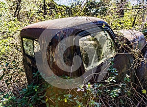 Rusty, old, junked car in the woods