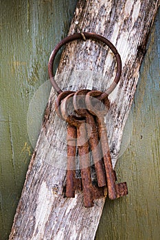 Rusty Old Keys Hanging from a Nail