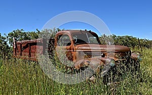 Rusty old large truck left in a patch of weeds