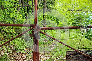 Rusty Old Locked Gate in Nature