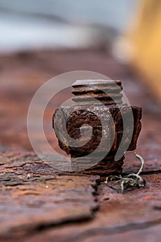 Rusty old nut and bolt on a bulkhead on the waterfront