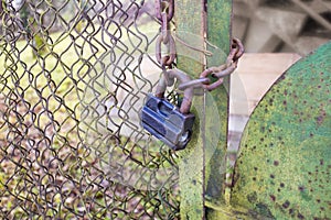 Rusty old padlock and chain on a green fence