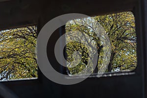 Rusty old truck, view out the rear windows