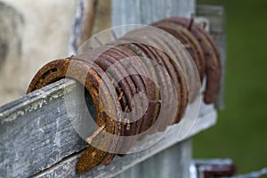 Rusty Old Used Horseshoes on Fence