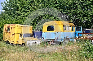 Rusty old vintage cars and bus at car cemetery in wild nature
