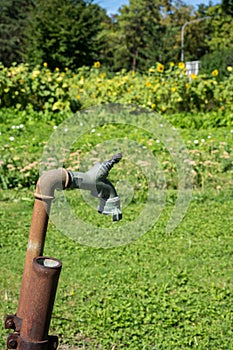 Rusty old water pipe in garden at a hot summer day