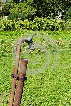 Rusty old water pipe in garden at a hot summer day