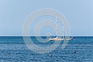 Rusty old white yacht sailing the calm Caribbean seas