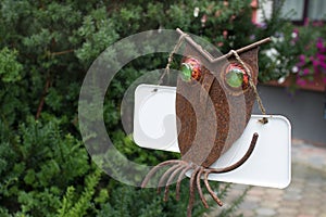 Rusty owl with big green eyes on a branch