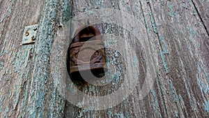 Rusty padlock against the background of old wood texture, peeling paint