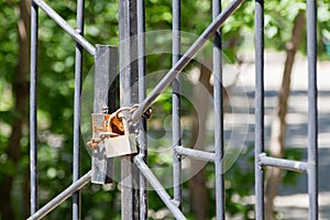 Rusty padlock on the gate