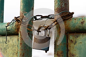 Rusty Padlock on the gate in the meadow fence.