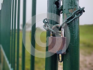 Rusty Padlock on the gate in the meadow fence.