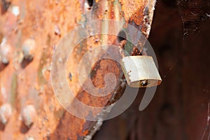 a rusty padlock hangs on the bridge span, close-up