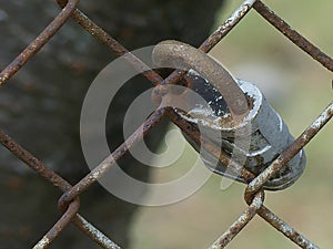 Rusty Padlock on a Rusty Chain Link Fence Nothing Locked up