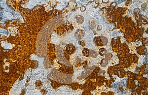 Rusty pattern patches white zinc red rust stains damage rotting