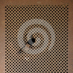 Rusty perforated metal texture