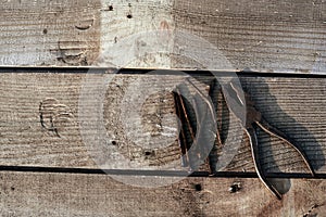 Rusty pliers and bent old nails lie on a tree desktop. rust. A cracked, scratched homemade table. construction background