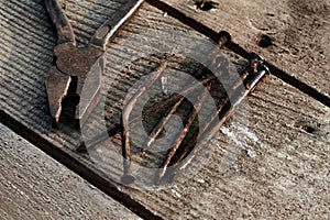 Rusty pliers and bent old nails lie on a tree desktop. rust. cracked, scratched homemade table. construction background