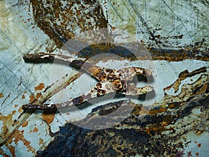 Rusty pliers on rusty metal surface
