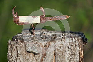 Rusty pocketknife on top of a stump