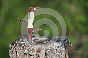 Rusty pocketknife on top of a stump photo