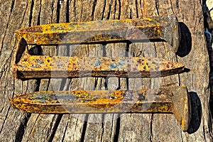 Rusty railroad spikes laying on ground in a pile