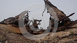 The rusty remains of the fish trawler - Aristea - close to Hondklipbaai, on the west coast of South Africa photo