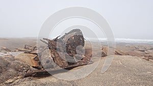 The rusty remains of the fish trawler - Aristea - close to Hondklipbaai, on the west coast of South Africa photo