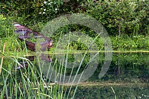 Rusty Rowboat In Green Weeds