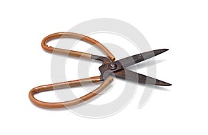 Rusty scissors isolated on white background