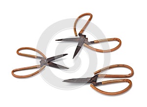 Rusty scissors isolated on white background