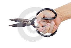 Rusty Scissors for tailor in hand isolated