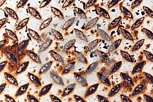 Rusty and scratched metal panel background