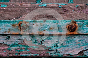 Rusty screws and hinge on an old door