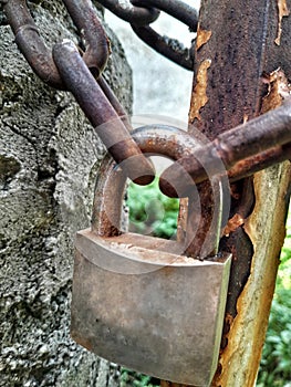 a rusty security padlock on a house fencet