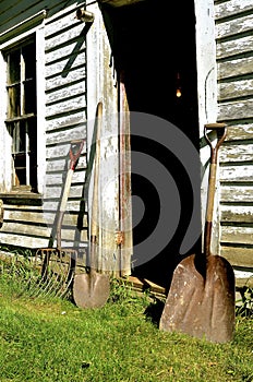 Rusty shovels and silage fork