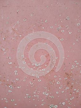 Rusty surface of an iron sheet covered with old lichen moss. close-up