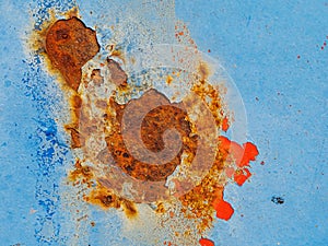 Rusty surface of metal plate with blue cracked color paint.