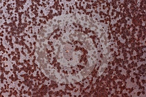 Rusty surface texture sheet metal