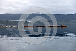 Rusty tanks floating in a calm harbor waters photo