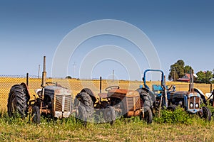 Old tractors standing on the field photo