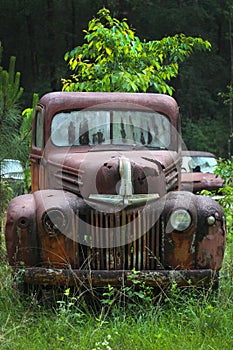 Rusty Truck Graveyard
