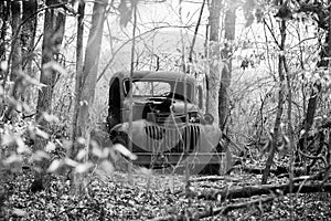 Rusty truck in woods