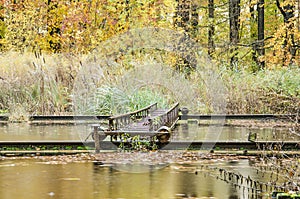 Obsolete truss in the forest